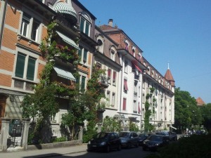 begrünte Fassaden in Bern