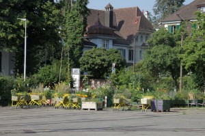 Gemeinschaftsgarten im Areal des alten Tramdepots Burgernziel Bern