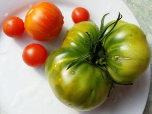 Grüne, gestreifte und andere ngewoehnliche Tomatensorten